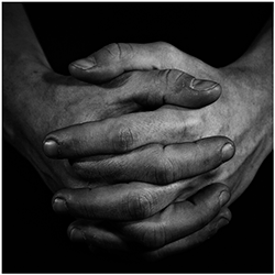17 hands